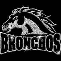 GLT32 SILVER GLITTER Thumbnail